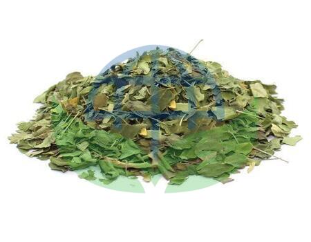 moringa-leaves